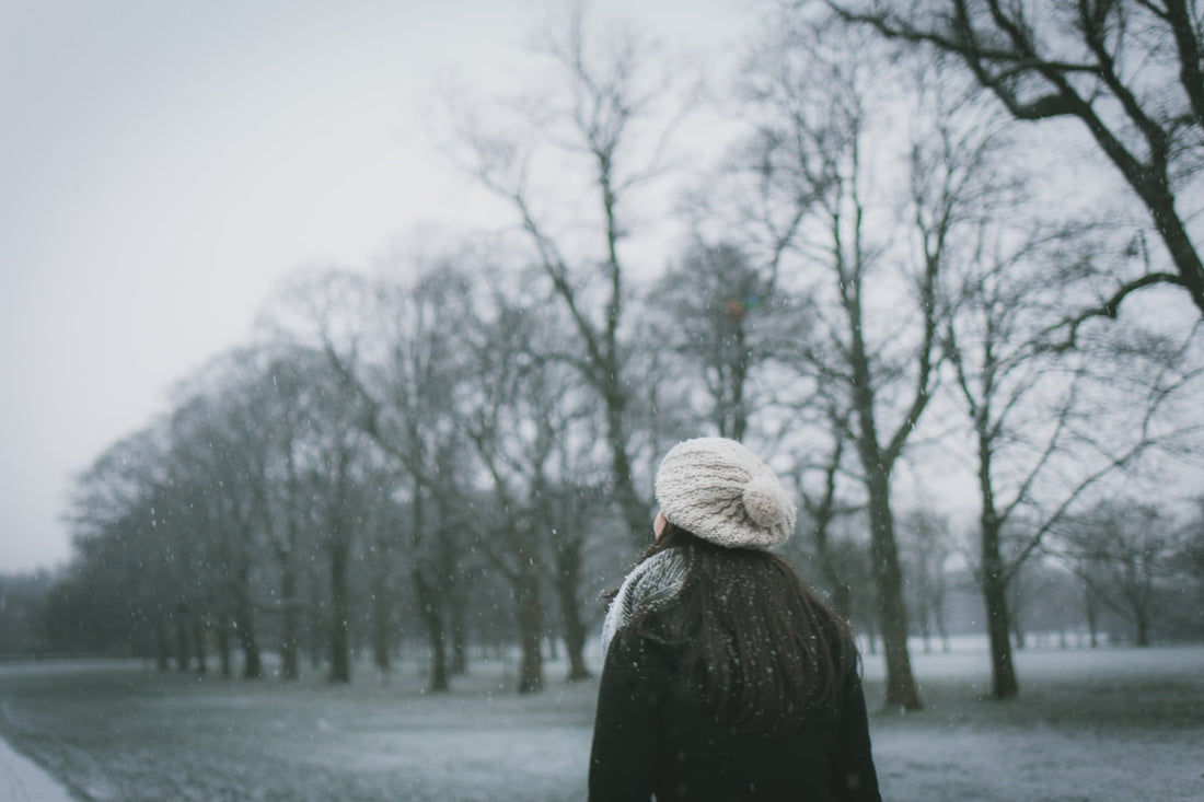 Review: The Winter Mystery by Faith Martin