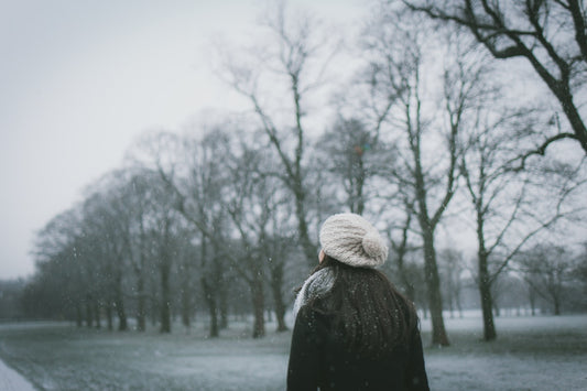 Review: The Winter Mystery by Faith Martin