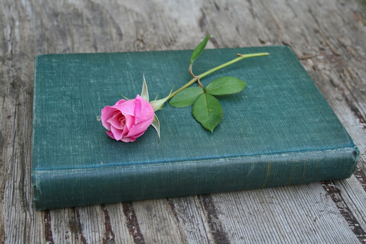 Valentine's Day Roundup: Mysteries with a Splash of Romance